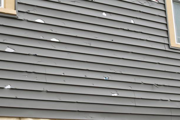 Best Hoarding Cleanup  in Bonne Terre, MO