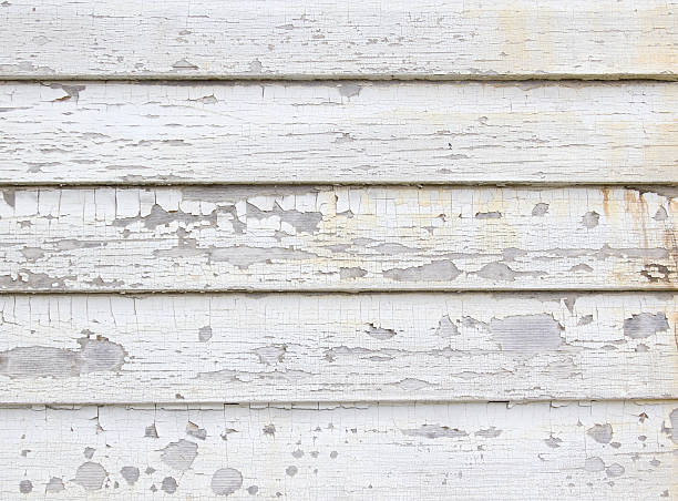 Best Junk Removal for Events  in Bonne Terre, MO
